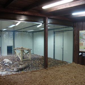 Ljubljana Zoo October 2013