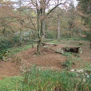 Ljubljana Zoo October 2013