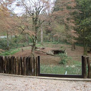 Ljubljana Zoo October 2013
