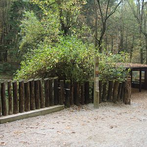 Ljubljana Zoo October 2013