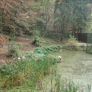 Ljubljana Zoo October 2013