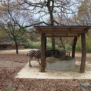 Ljubljana Zoo October 2013