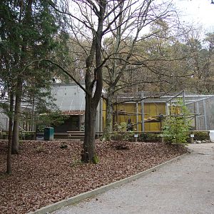 Ljubljana Zoo October 2013