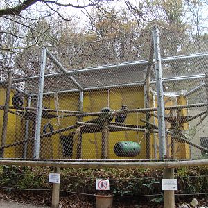 Ljubljana Zoo October 2013