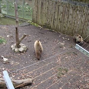 Ljubljana Zoo October 2013