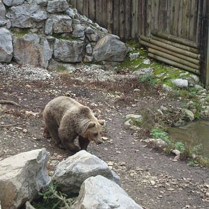 Ljubljana Zoo October 2013