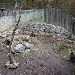 Ljubljana Zoo October 2013