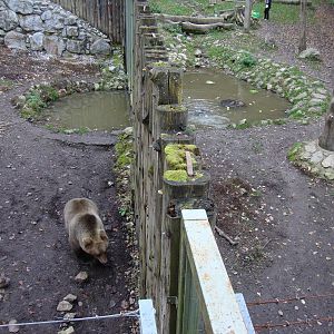 Ljubljana Zoo October 2013