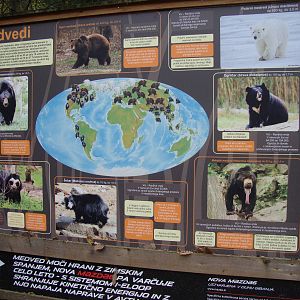 Ljubljana Zoo October 2013