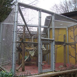 Ljubljana Zoo October 2013
