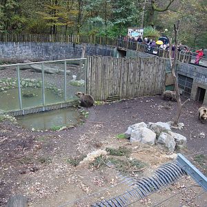 Ljubljana Zoo October 2013
