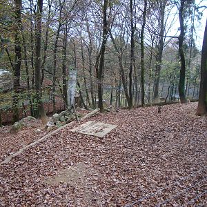 Ljubljana Zoo October 2013