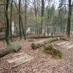 Ljubljana Zoo October 2013