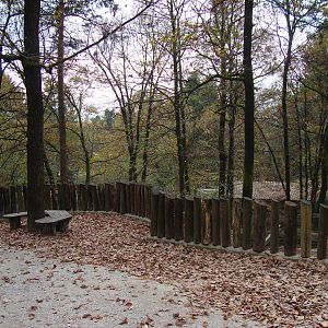 Ljubljana Zoo October 2013