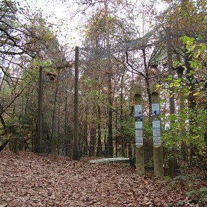 Ljubljana Zoo October 2013