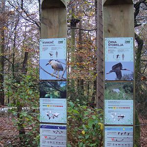 Ljubljana Zoo October 2013