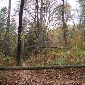 Ljubljana Zoo October 2013