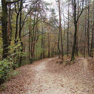 Ljubljana Zoo October 2013