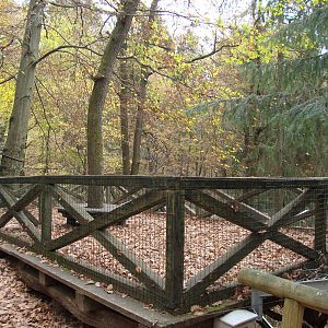 Ljubljana Zoo October 2013