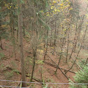 Ljubljana Zoo October 2013