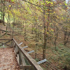 Ljubljana Zoo October 2013