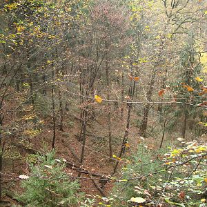 Ljubljana Zoo October 2013