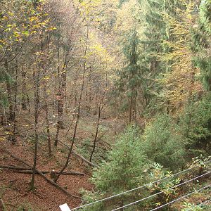 Ljubljana Zoo October 2013