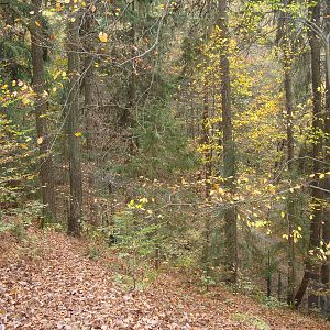 Ljubljana Zoo October 2013