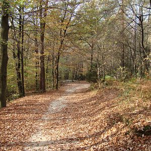 Ljubljana Zoo October 2013