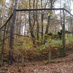 Ljubljana Zoo October 2013