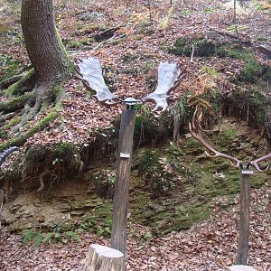 Ljubljana Zoo October 2013