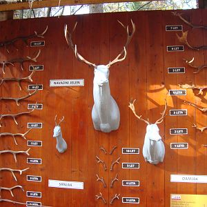 Ljubljana Zoo October 2013