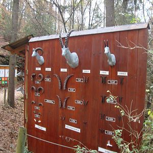 Ljubljana Zoo October 2013