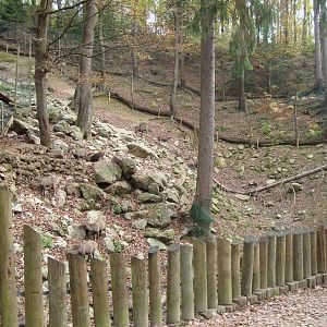 Ljubljana Zoo October 2013