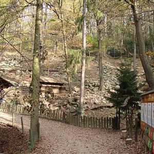 Ljubljana Zoo October 2013