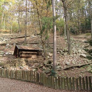 Ljubljana Zoo October 2013