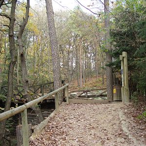 Ljubljana Zoo October 2013