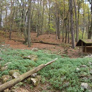 Ljubljana Zoo October 2013