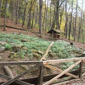 Ljubljana Zoo October 2013