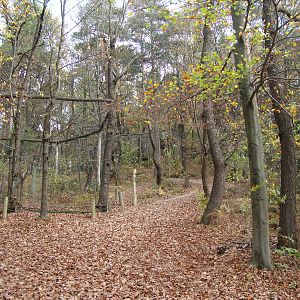 Ljubljana Zoo October 2013