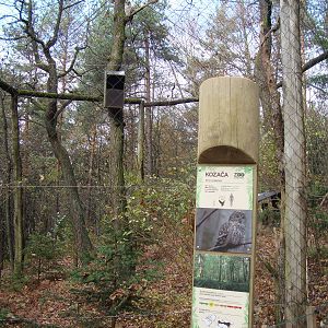 Ljubljana Zoo October 2013