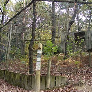 Ljubljana Zoo October 2013