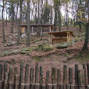Ljubljana Zoo October 2013
