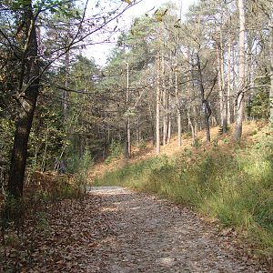 Ljubljana Zoo October 2013