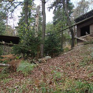 Ljubljana Zoo October 2013