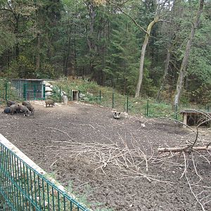 Ljubljana Zoo October 2013