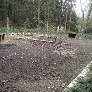 Ljubljana Zoo October 2013