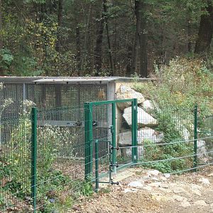 Ljubljana Zoo October 2013