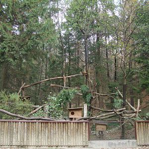Ljubljana Zoo October 2013