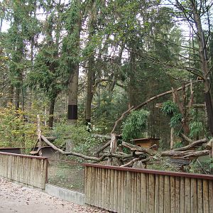 Ljubljana Zoo October 2013